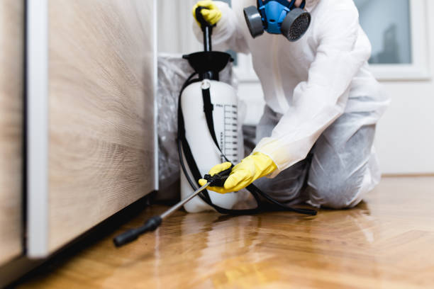 Best Pest Inspection Near Me  in Salem, IN