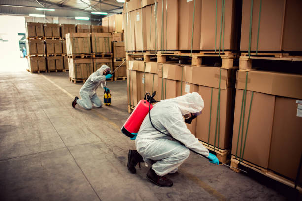 Best Termite Control Services  in Salem, IN