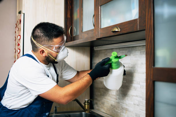 Best Pest Inspection Near Me  in Salem, IN