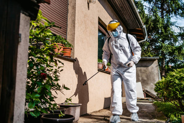 Best Pest Control for Restaurants  in Salem, IN