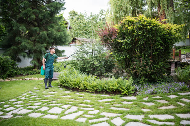 Best Pest Inspection Near Me  in Salem, IN