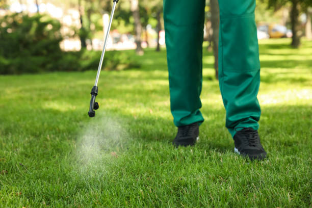 Best Residential Pest Control  in Salem, IN
