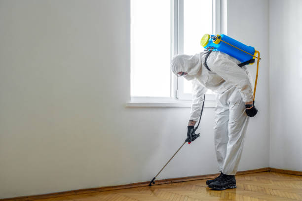 Pest Control for Restaurants in Salem, IN
