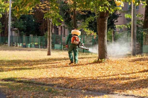 Best Pest Prevention Services  in Salem, IN