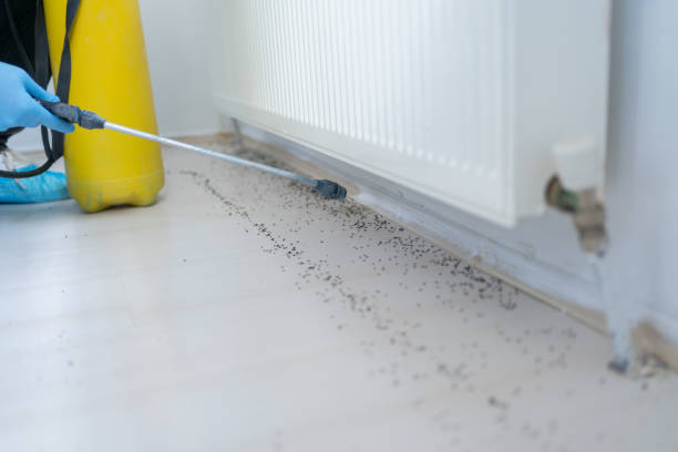 Salem, IN Pest Control Company